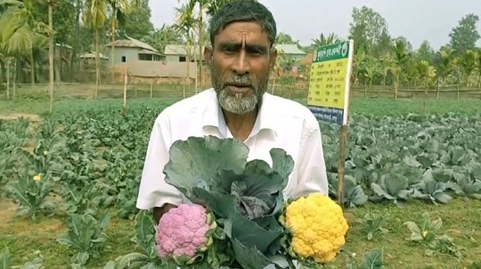image-here